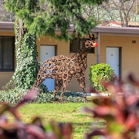 Hamilton Hume Motor Inn Yass Buitenkant foto