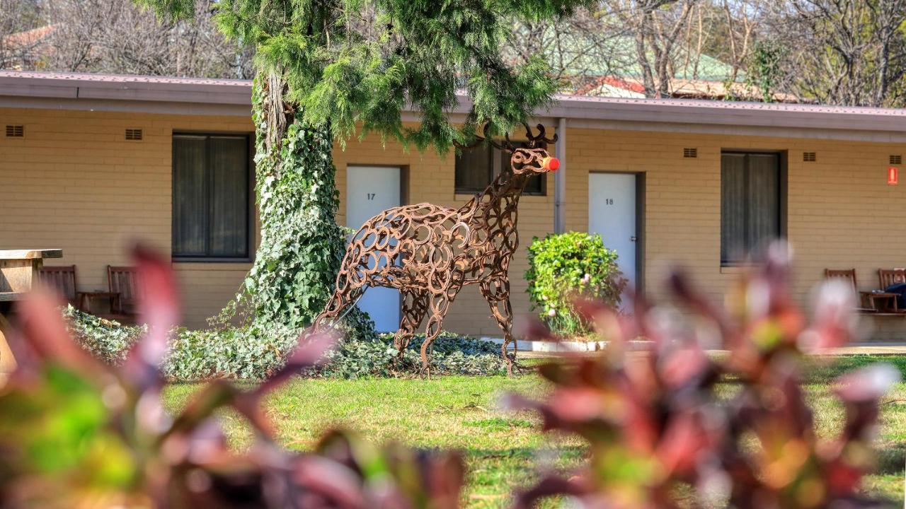 Hamilton Hume Motor Inn Yass Buitenkant foto